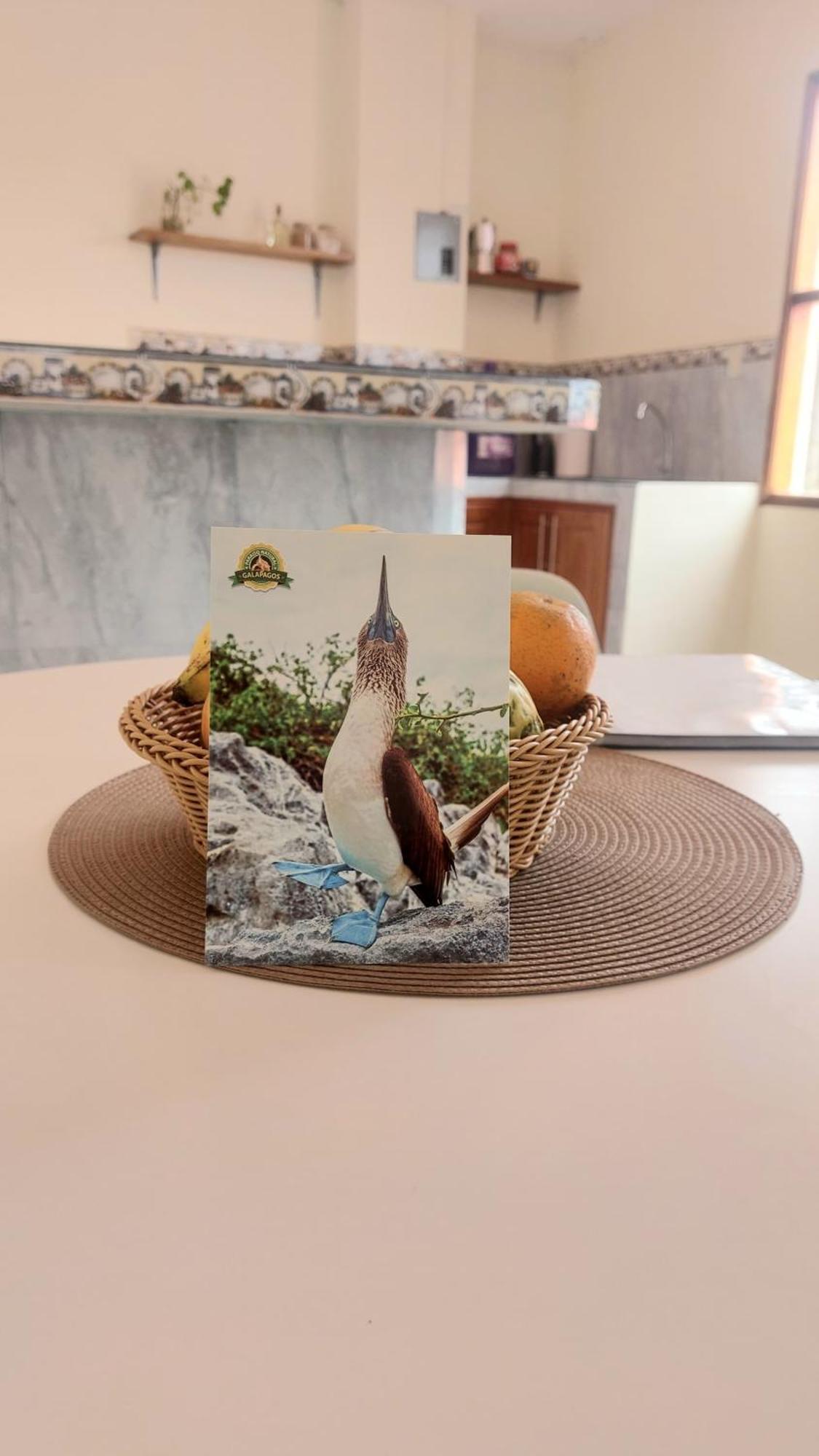 Casa Playa Los Marinos Пуерто Бакерисо Морено Екстериор снимка